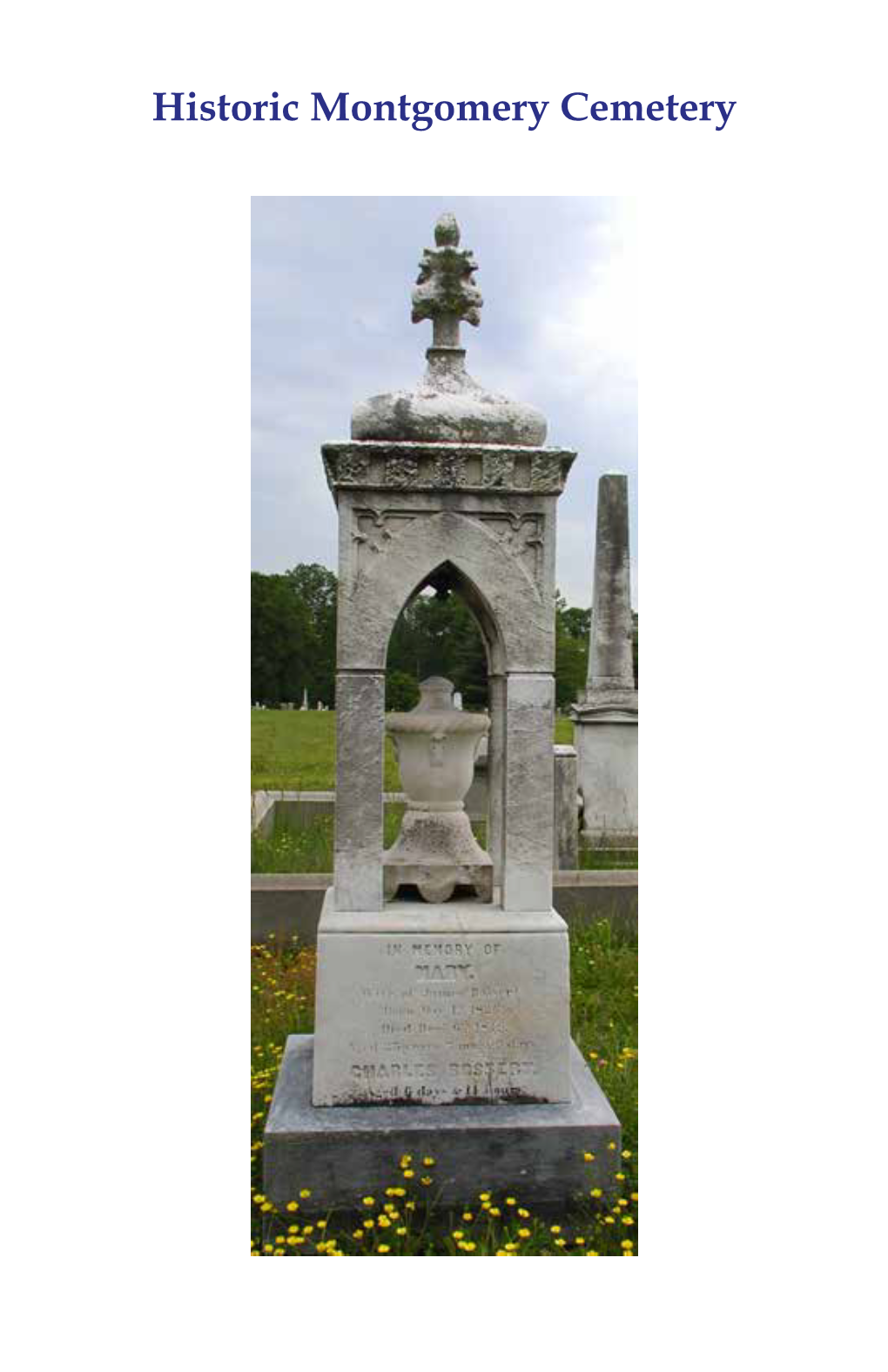Historic Montgomery Cemetery 1 12