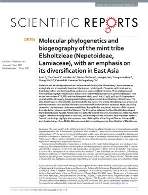Molecular Phylogenetics and Biogeography of the Mint Tribe Elsholtzieae (Nepetoideae, Lamiaceae), with an Emphasis on Its Divers