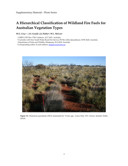 A Hierarchical Classification of Wildland Fire Fuels for Australian Vegetation Types