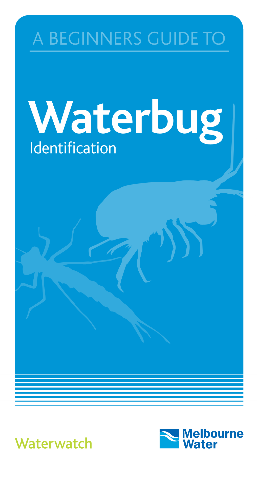 A Beginner's Guide to Waterbug Identification2.7 MB