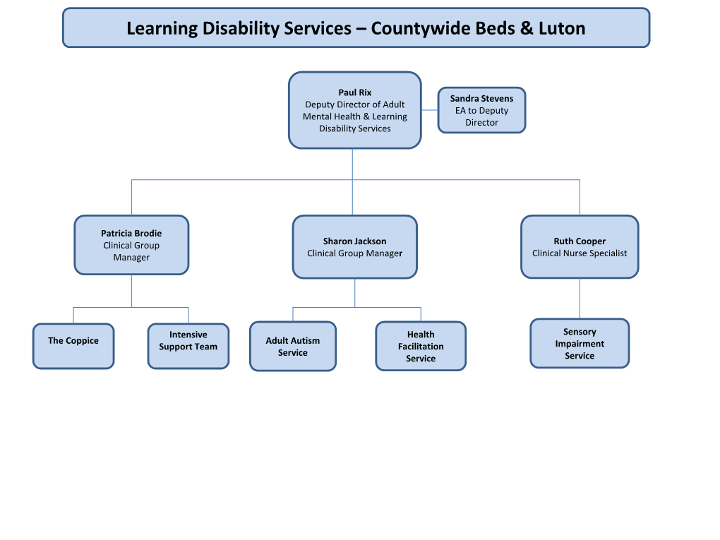 Learning Disability Services – Countywide Beds & Luton