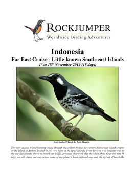 Indonesia Far East Cruise - Little-Known South-East Islands 1St to 18Th November 2019 (18 Days)