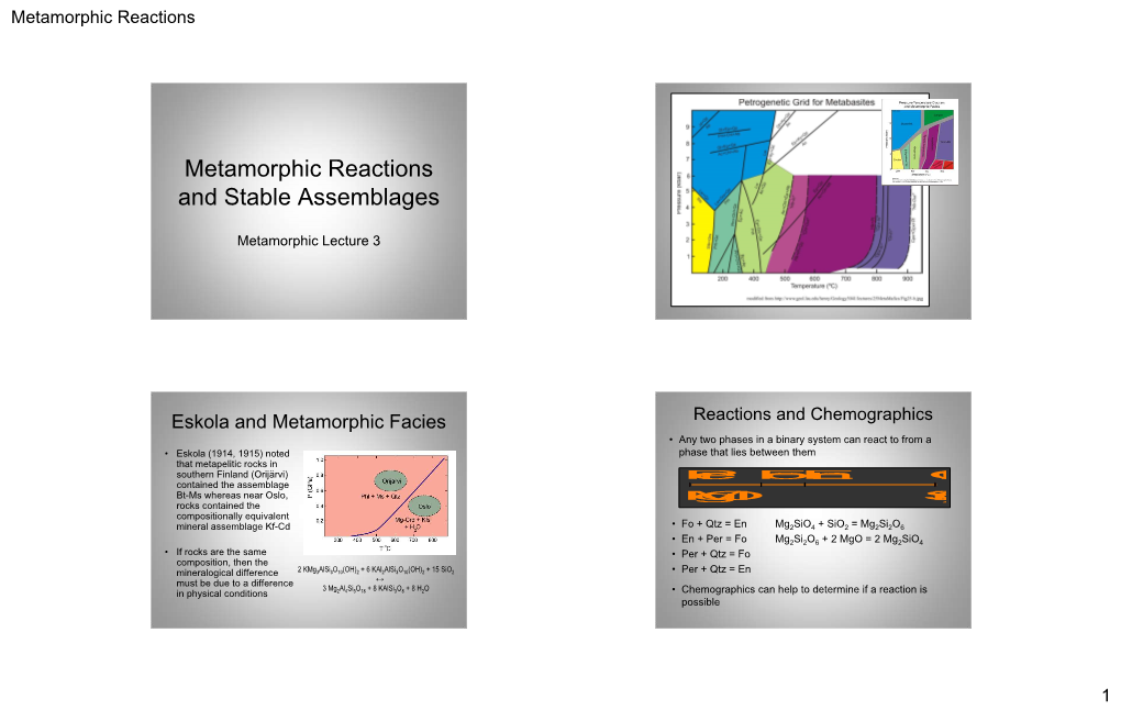 Metamorphic Reactions 1