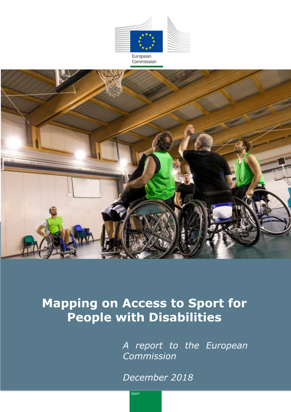 Mapping on Access to Sport for People with Disabilities