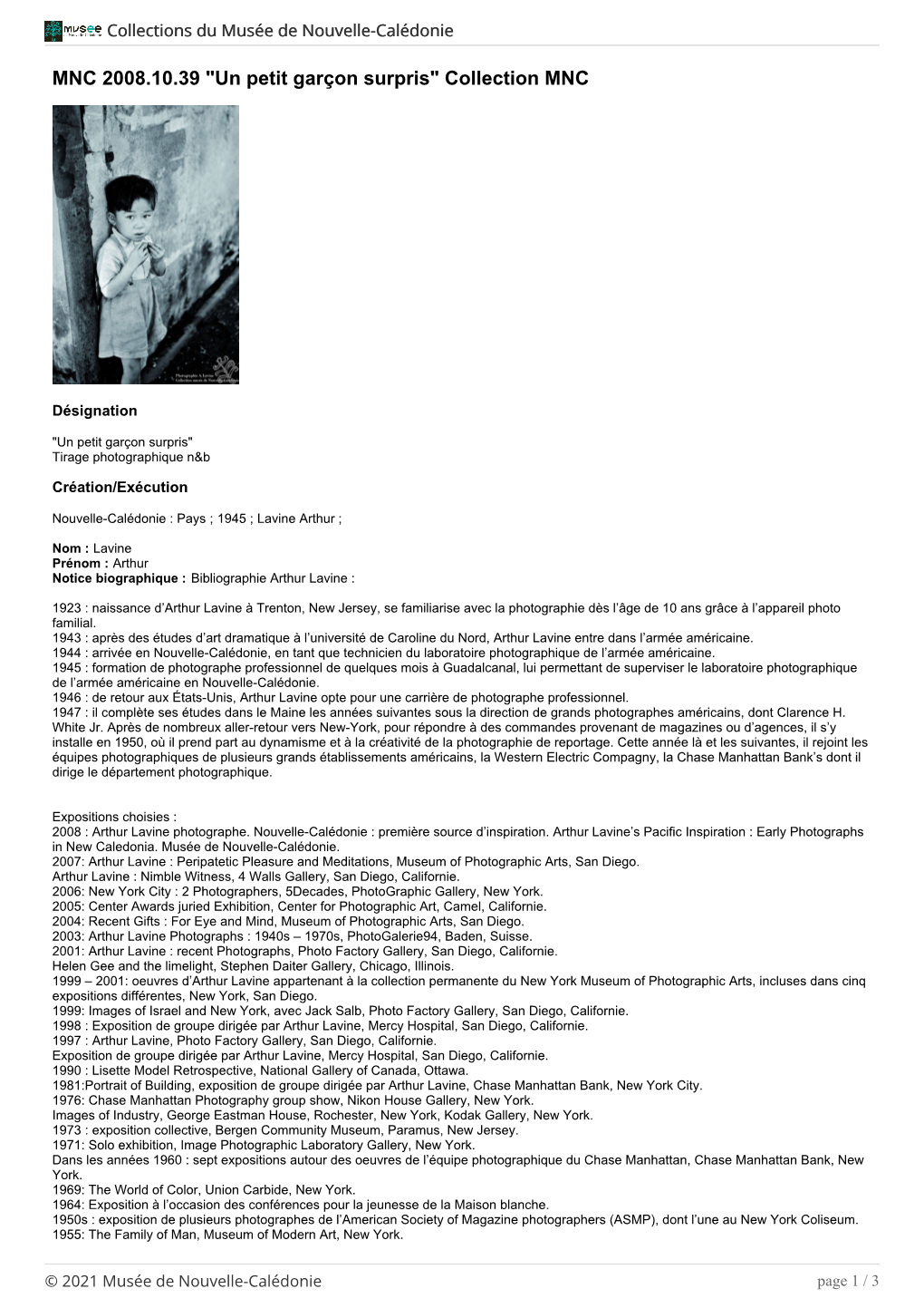 Notice Biographique : Bibliographie Arthur Lavine