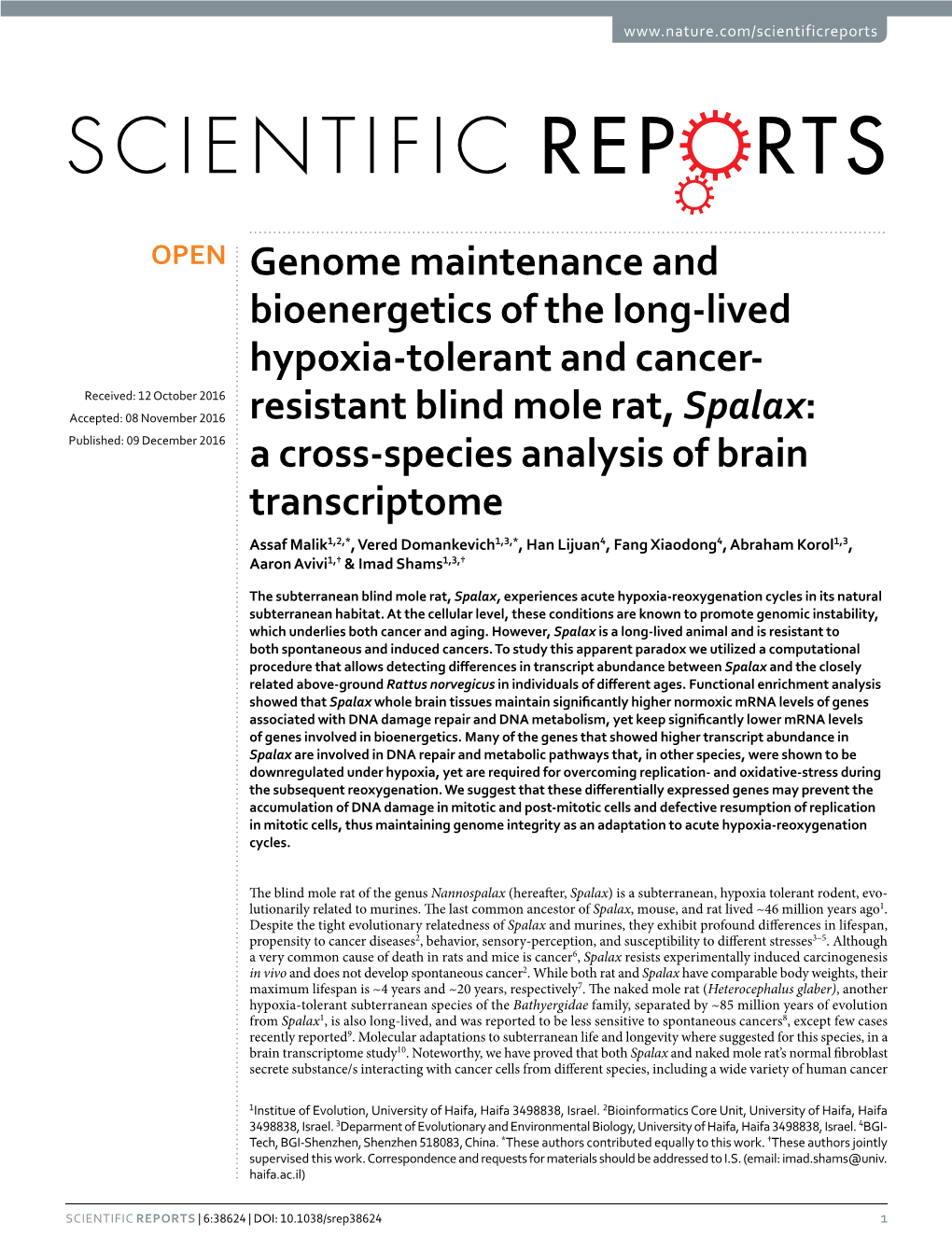 Genome Maintenance and Bioenergetics of The