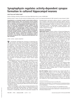 Synaptophysin Regulates Activity-Dependent Synapse Formation in Cultured Hippocampal Neurons