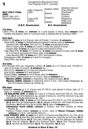 Consigned by Baunemore Stud the Property of Mr P. Connolly Sadler's