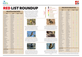 Birdlife's Bird Red List Roundup Infographic