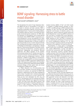 BDNF Signaling: Harnessing Stress to Battle Mood Disorder Pawel Licznerskia and Elizabeth A