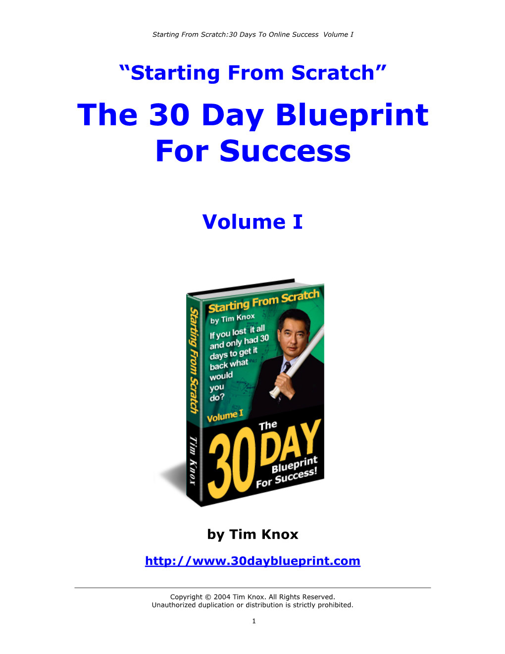 30 Days to Internet Marketing Success