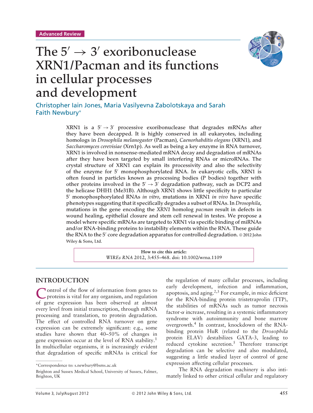 The 5 3 Exoribonuclease XRN1/Pacman and Its Functions In