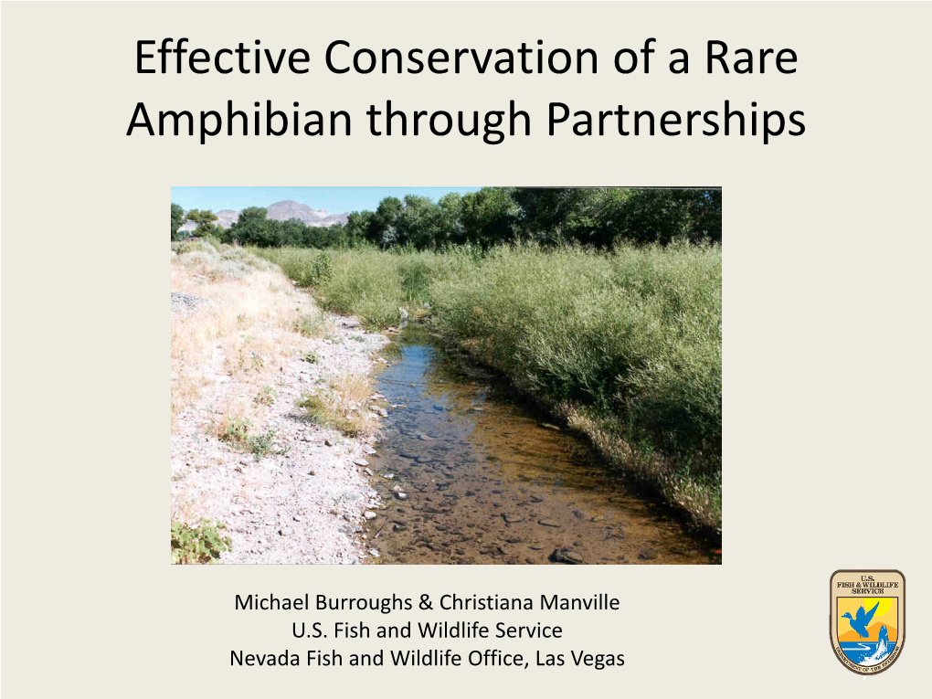 Effective Conservation of a Rare Amphibian Through Partnerships