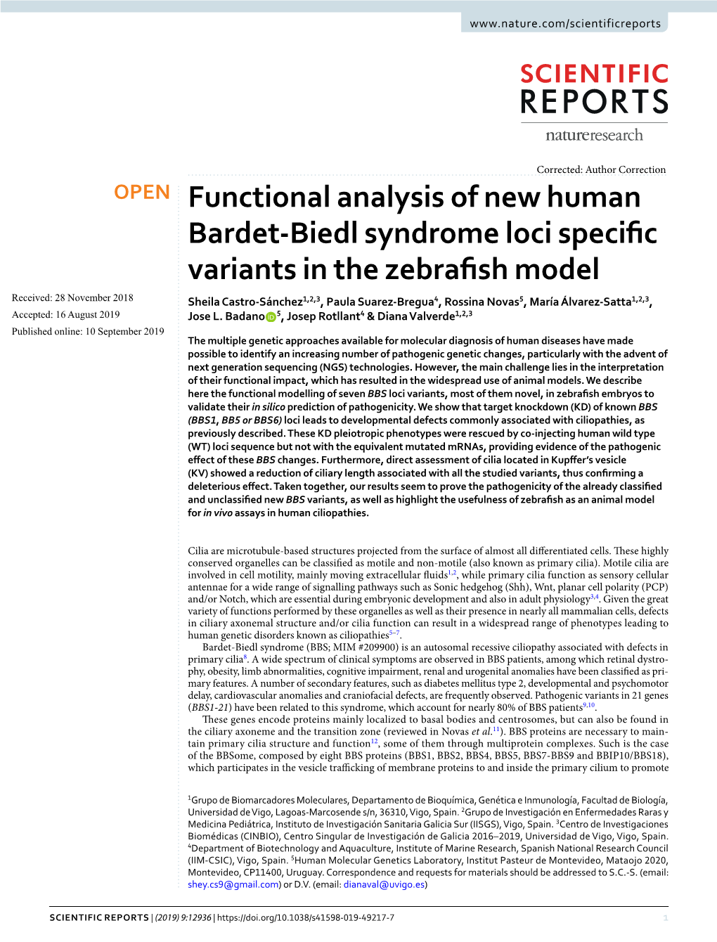 Functional Analysis of New Human Bardet-Biedl Syndrome Loci Specific