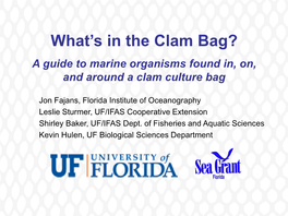 What's in the Clam Bag?