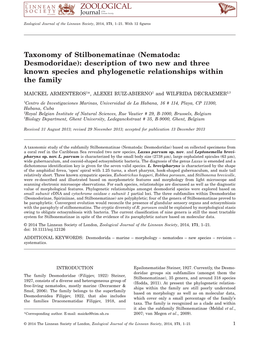 Taxonomy of Stilbonematinae (Nematoda: Desmodoridae): Description of Two New and Three Known Species and Phylogenetic Relationships Within the Family