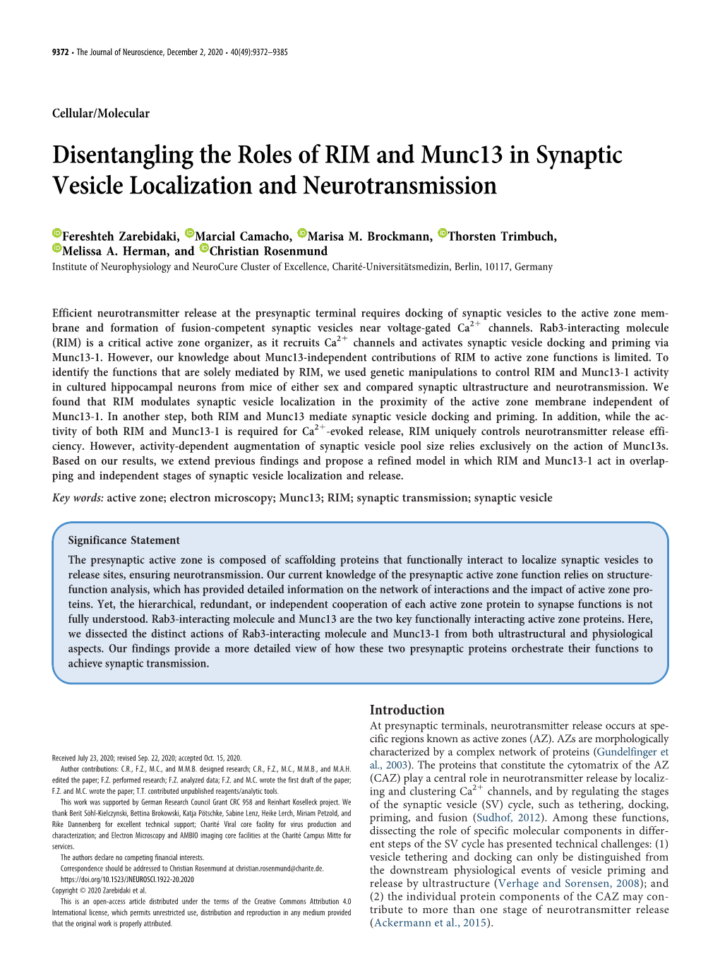 Disentangling the Roles of RIM and Munc13 in Synaptic Vesicle Localization and Neurotransmission