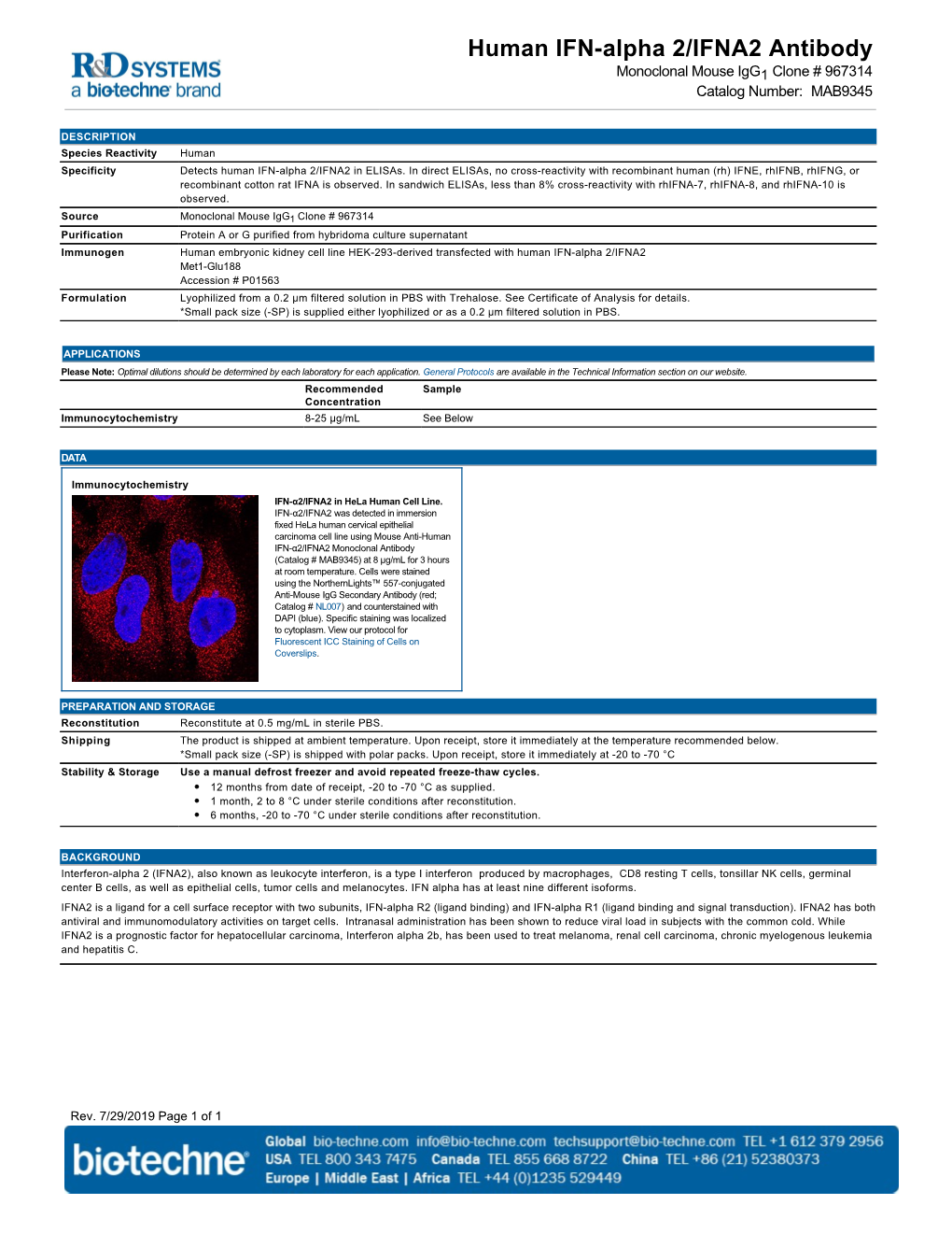 Human IFN-Alpha 2/IFNA2 Antibody