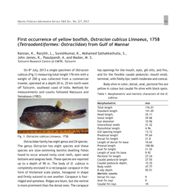 First Occurrence of Yellow Boxfish, Ostracion Cubicus Linnaeus, 1758 (Tetraodontiformes: Ostraciidae) from Gulf of Mannar