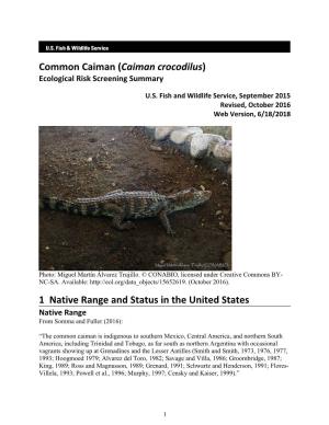 Caiman Crocodilus) Ecological Risk Screening Summary