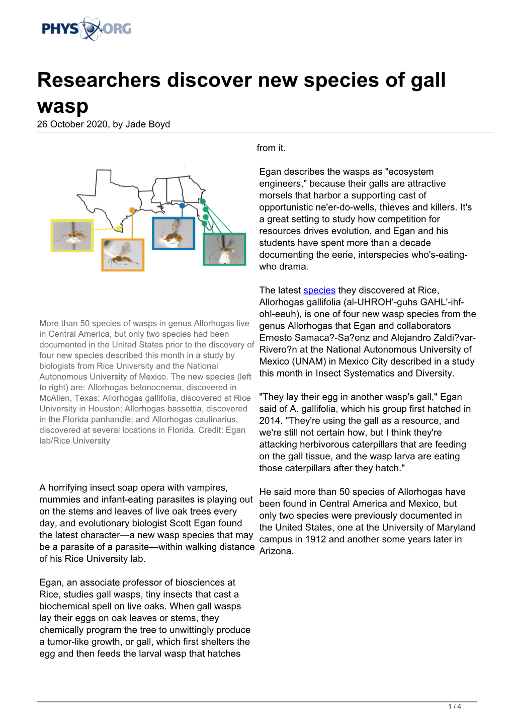 Researchers Discover New Species of Gall Wasp 26 October 2020, by Jade Boyd