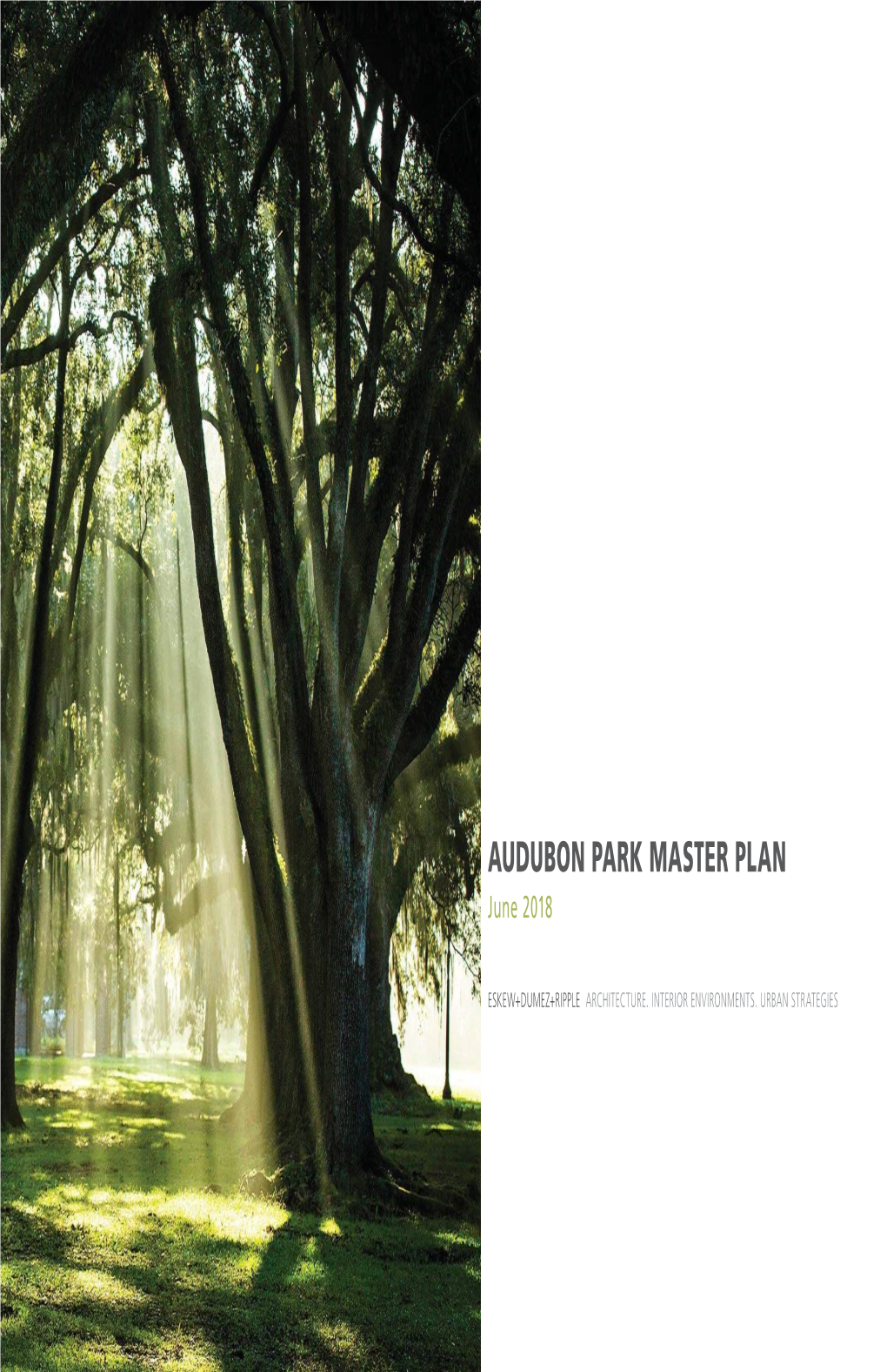 Audubon Park Master Plan Final.Pdf