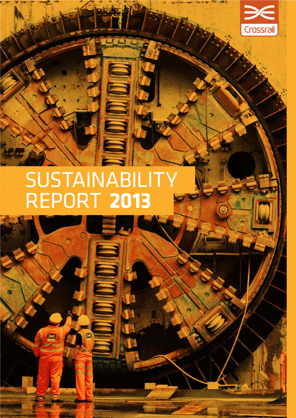 Sustainability Report 2013