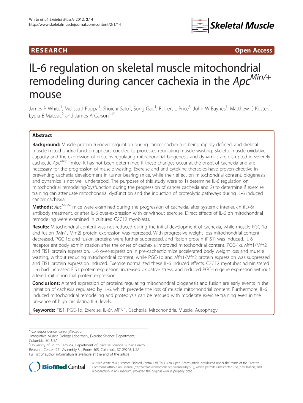 IL-6 Regulation on Skeletal Muscle Mitochondrial Remodeling During