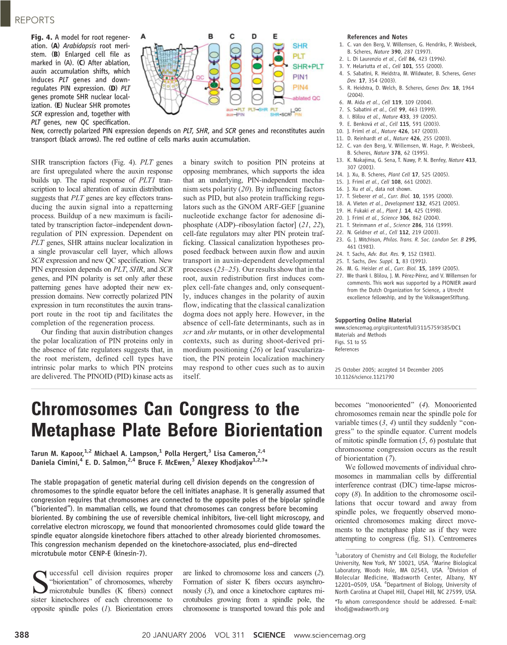 Chromosomes Can Congress to the Metaphase Plate Before Biorientation