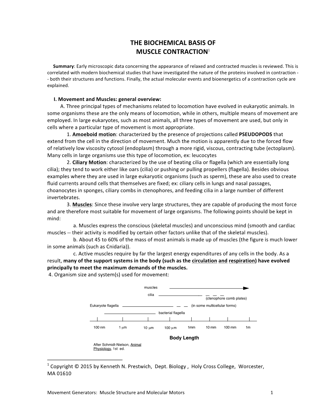 The Biochemical Basis of Muscle Contraction1