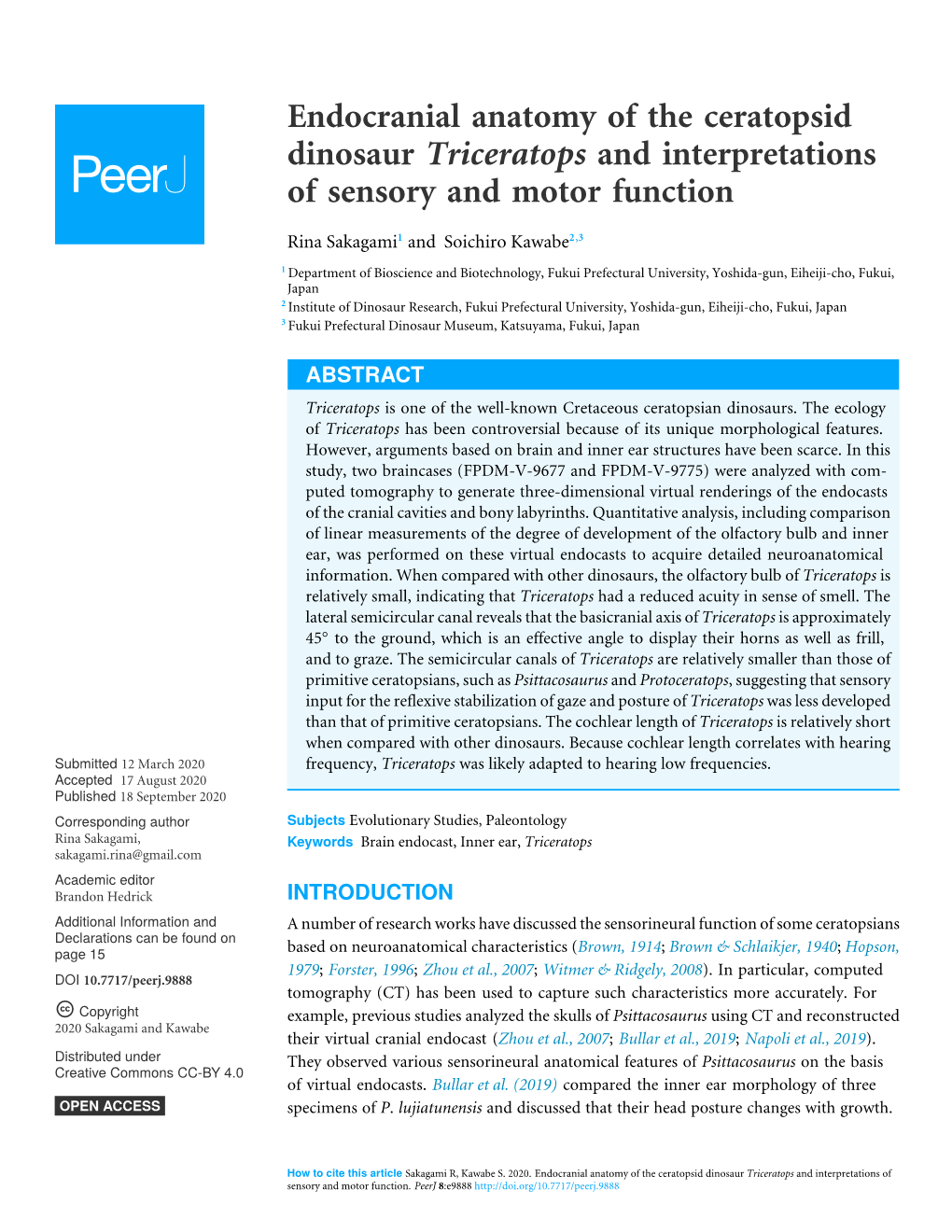 Endocranial Anatomy of the Ceratopsid Dinosaur Triceratops and Interpretations of Sensory and Motor Function