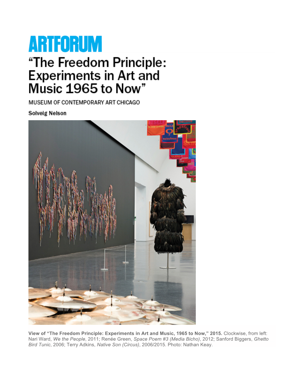 The Freedom Principle: Experiments in Art and Music, 1965 to Now,” 2015