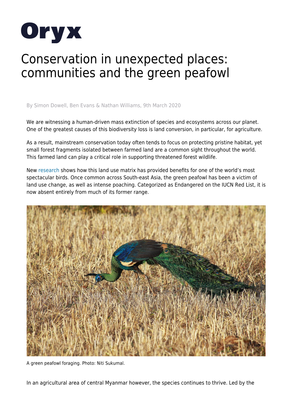 Communities and the Green Peafowl