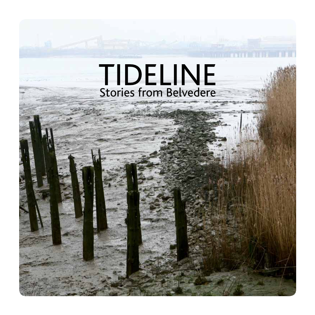 Tideline Stories from Belvedere to the People of Belvedere