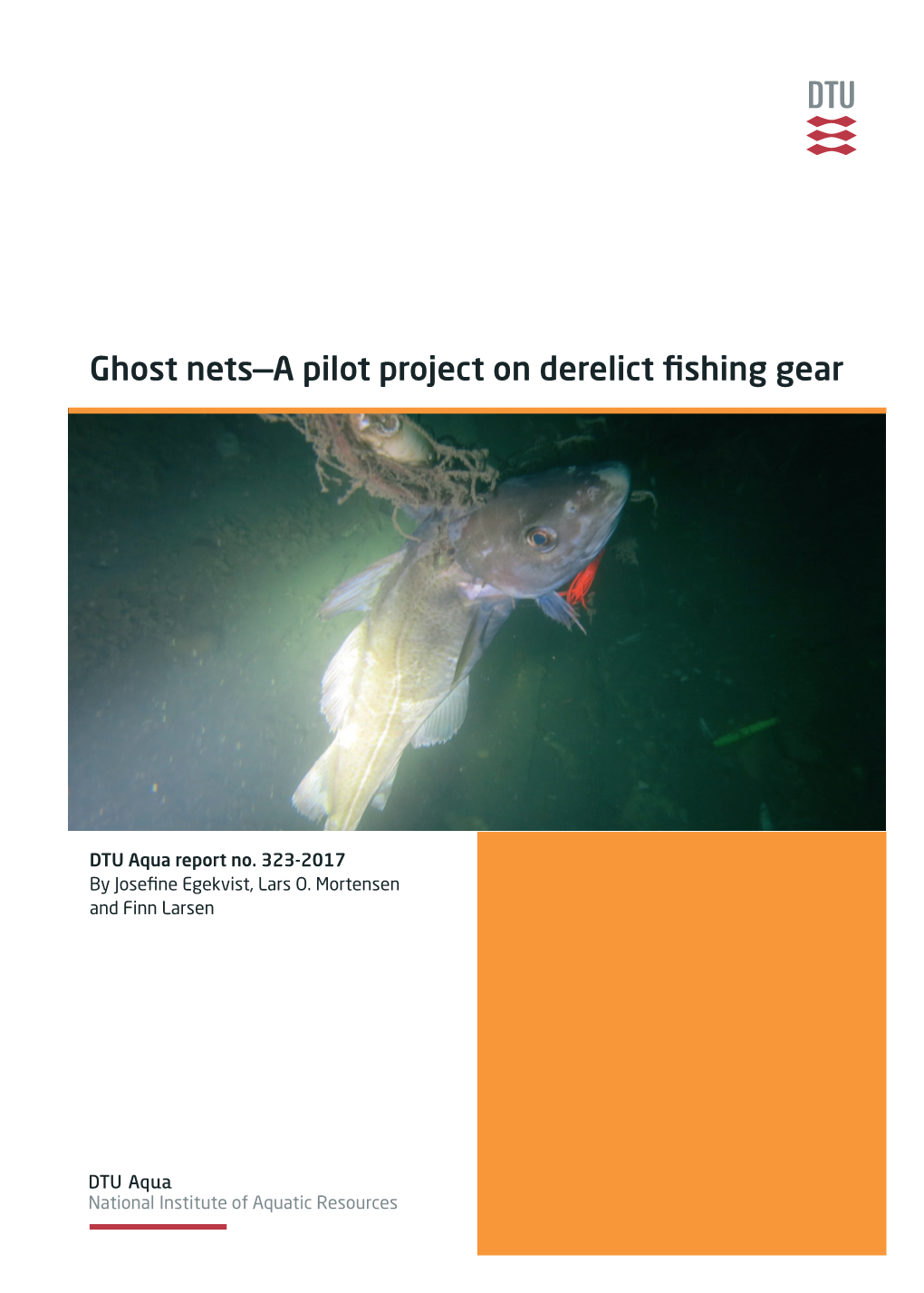 Ghost Nets—A Pilot Project on Derelict Fishing Gear