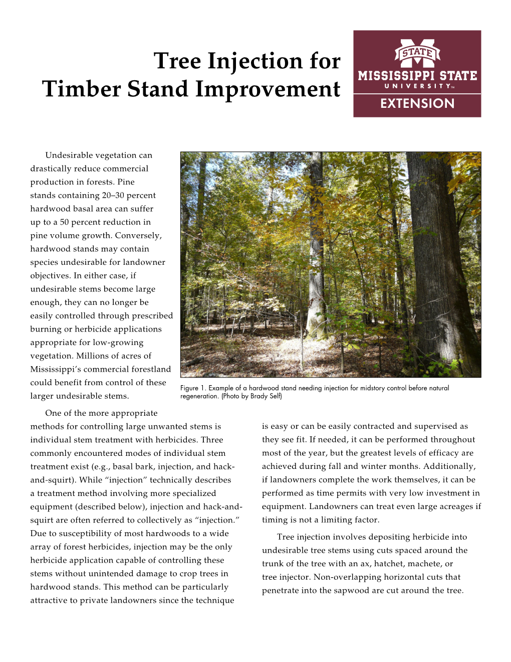 Tree Injection for Timber Stand Improvement