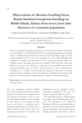 Branta Hutchinsii Leucopareia Breeding on Buldir Island, Alaska: Forty-Seven Years After Discovery of a Remnant Population