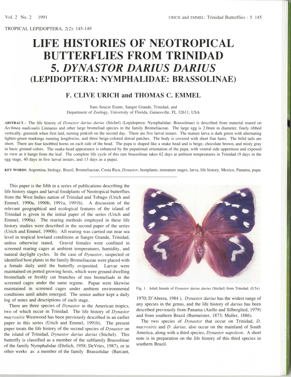 Life Histories of Neotropical Butterflies from Trinidad 5