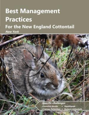 Best Management Practices for the New England Cottontail - New York