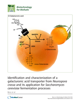 Identification and Characterization of a Galacturonic Acid Transporter From