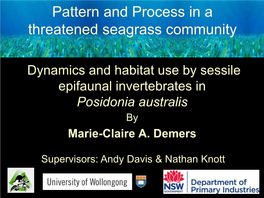 Pattern and Process in a Threatened Seagrass Community
