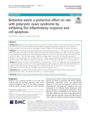 Berberine Exerts a Protective Effect on Rats with Polycystic Ovary Syndrome