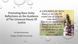 Promoting Race Unity: Reflections on the Guidance of the Universal House of Justice