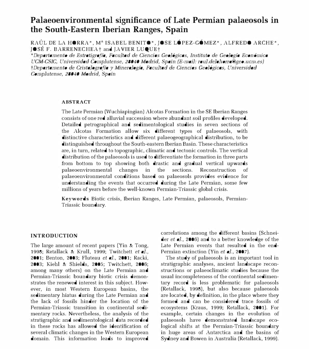 Palaeoenvironmental Significance of Late Permian Palaeosols in the South-Eastern Iberian Ranges, Spain