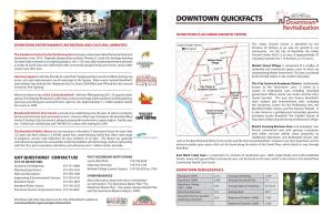 Downtown Quickfacts