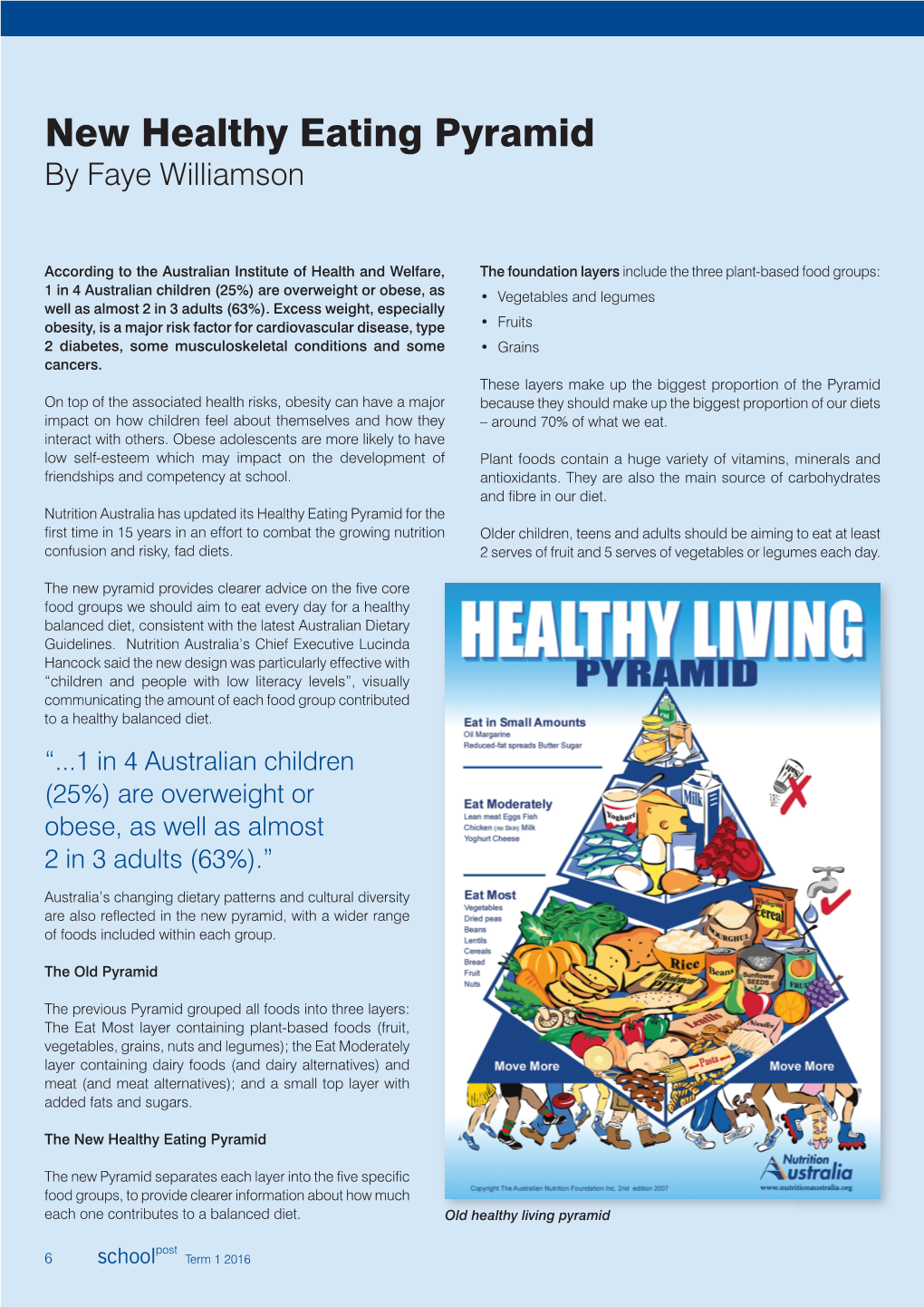 New Healthy Eating Pyramid by Faye Williamson