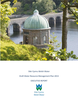 Dŵr Cymru Welsh Water Draft Water Resource Management Plan 2013