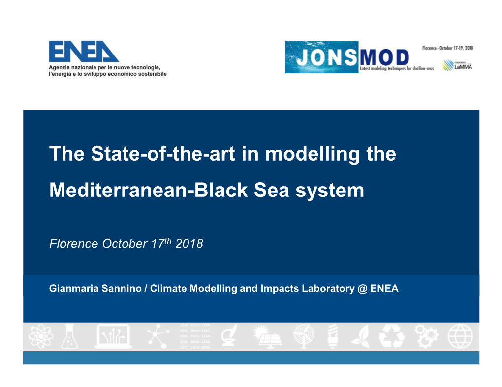 The State-Of-The-Art in Modelling the Mediterranean-Black Sea System