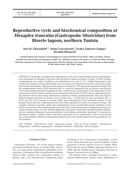 Reproductive Cycle and Biochemical Composition of Hexaplex Trunculus (Gastropoda: Muricidae) from Bizerte Lagoon, Northern Tunisia