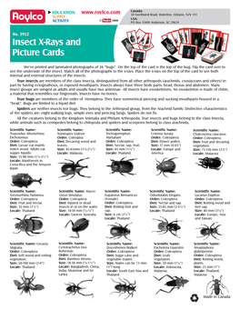 Insect Xrays and Picture Cards Guide